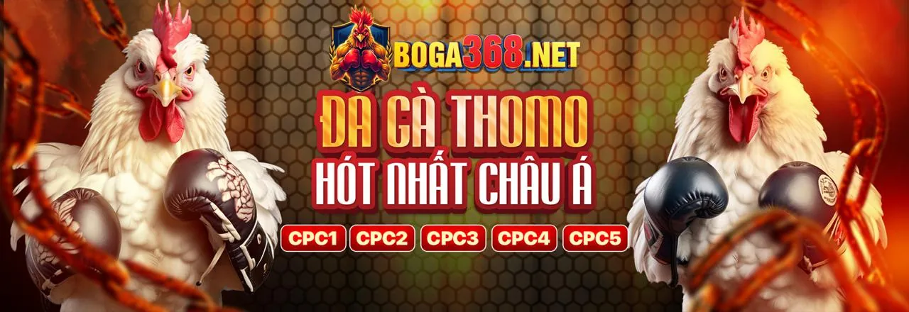 Đá gà trực tuyến p88 link vào với các chiến kê dũng mãnh